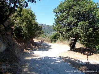 da di Volpe30-07-2015 22-57-53